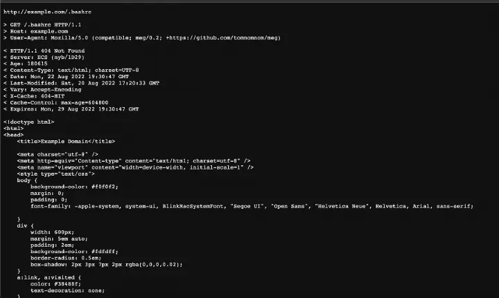 Example of request been send using meg