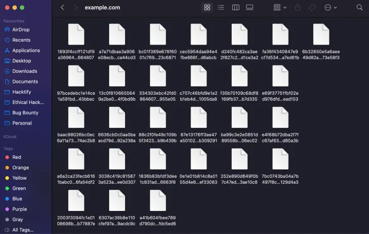 File List Created for the host xyz.com with request and response