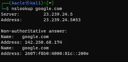 Name Server lookup of domain google.com